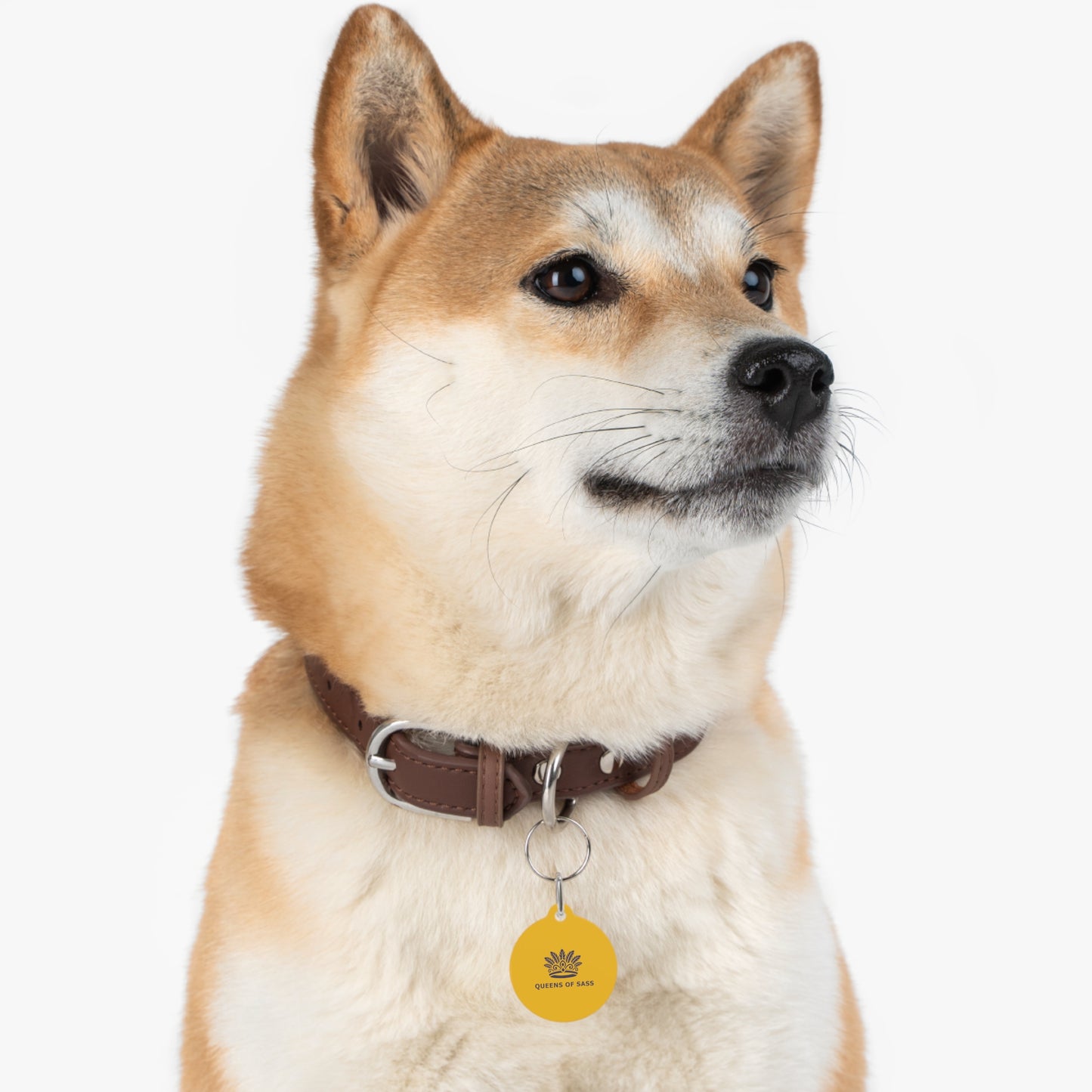 Pet Tag - Queens of Sass
